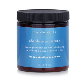 Absolute Moisture (Salon Size, For Combination Skin)