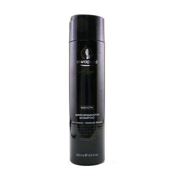 Paul Mitchell Awapuhi Wild Ginger Smooth Mirrorsmooth Shampoo (Frizz Control - Moisture Balance)