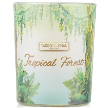 Carroll & Chan 100% Beeswax Votive Candle - Tropical Forest