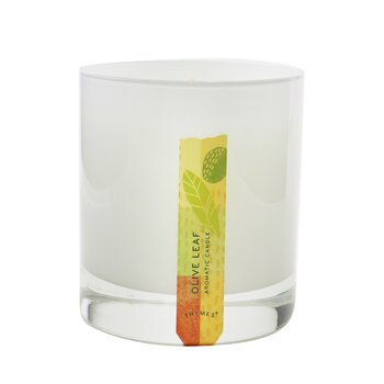 Thymes Aromatic Candle - Olive Leaf