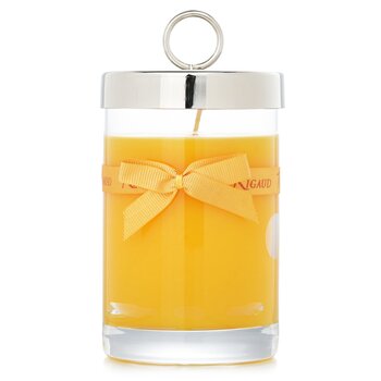 Scented Candle - # Tournesol