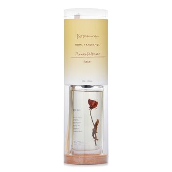 Home Fragrance Plante Diffuser - Rose