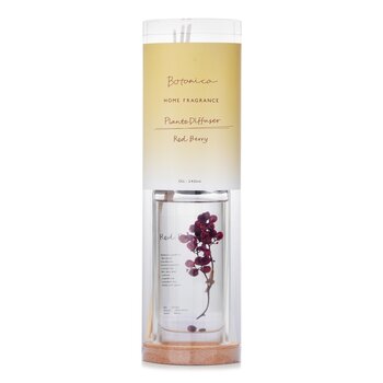 Home Fragrance Plante Diffuser - Red Berry
